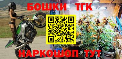 гидра Беслан