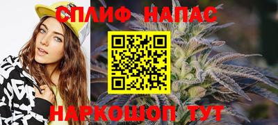 гидра Беслан