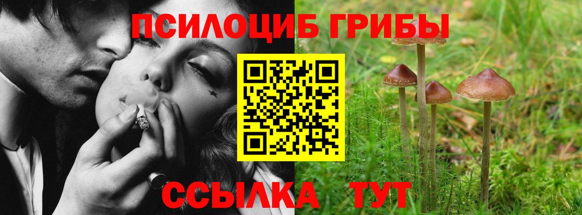 Псилоцибиновые грибы прущие грибы Кемерово
