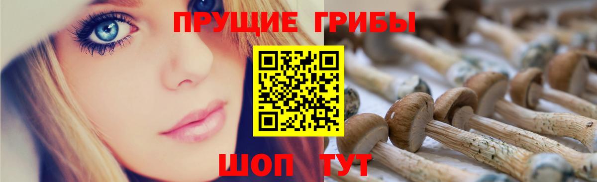 Галлюциногенные грибы Psilocybe  Вход с VPN  Кемерово  Галлюциногенные грибы Psilocybe 